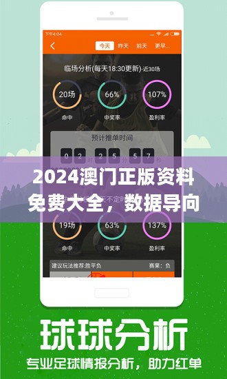 2024澳门正版精准免费大全,诠释说明解析_bundle32.758