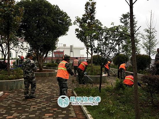 昆明倘甸两区最新深度新闻报道